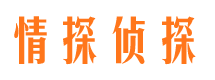 南漳外遇出轨调查取证